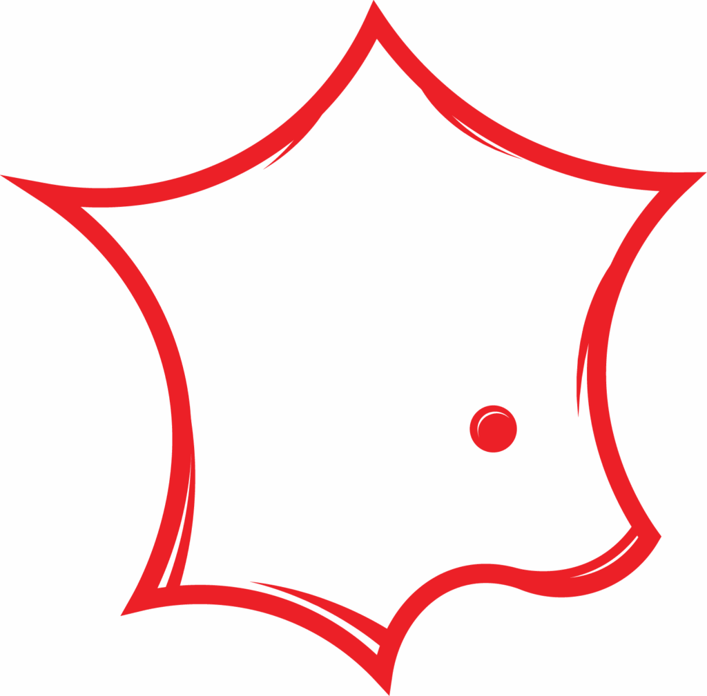 SELENE Solutions Rhone-Alpes